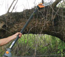 pole-saws-img1