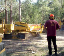 stump-grinding-img1