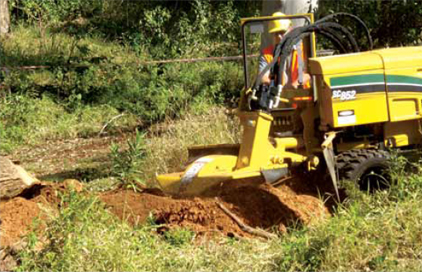 stump-grinding-img3