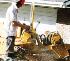 stump-grinding1