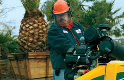 stump-grinding2