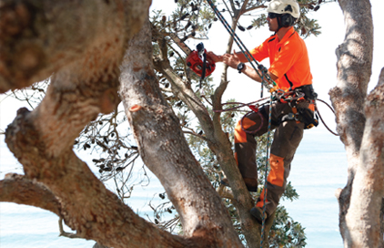 rigging-safety-img3