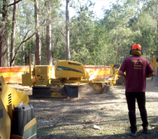 stump-grinding-img1