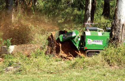 stump-grinding-img2