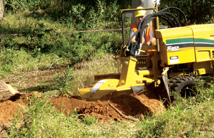 stump-grinding-img3