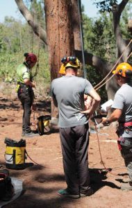 Zero Harm at Work