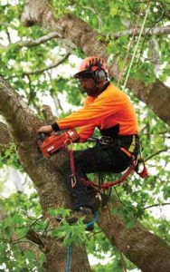Zero Harm at Work